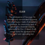 Sauvage Elixir Dior - Image 4