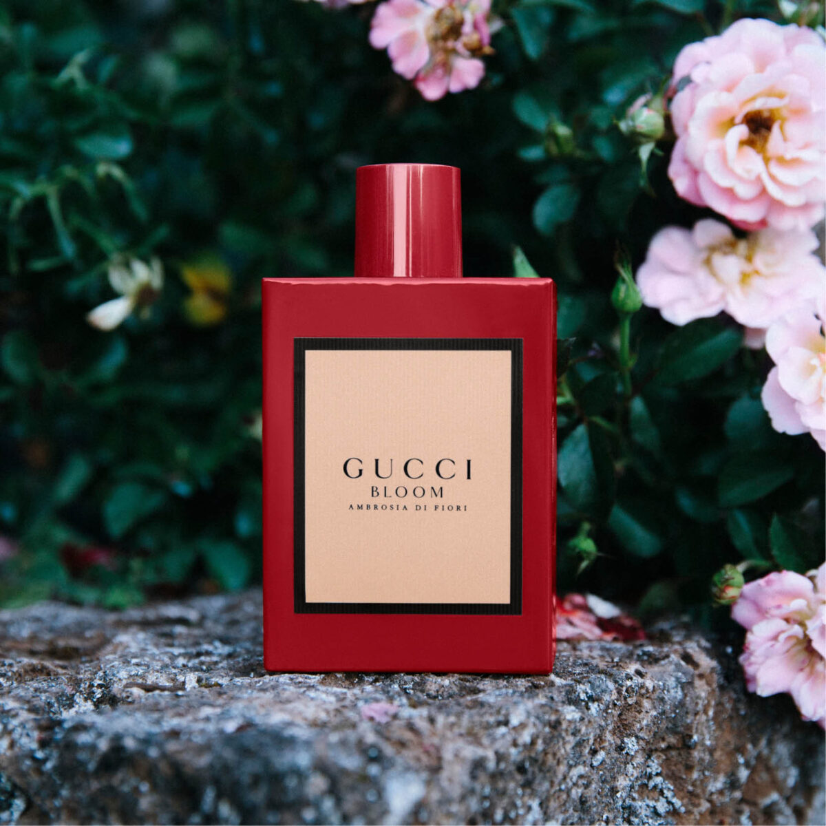 Gucci Bloom Ambrosia di Fiori Gucci - Image 2