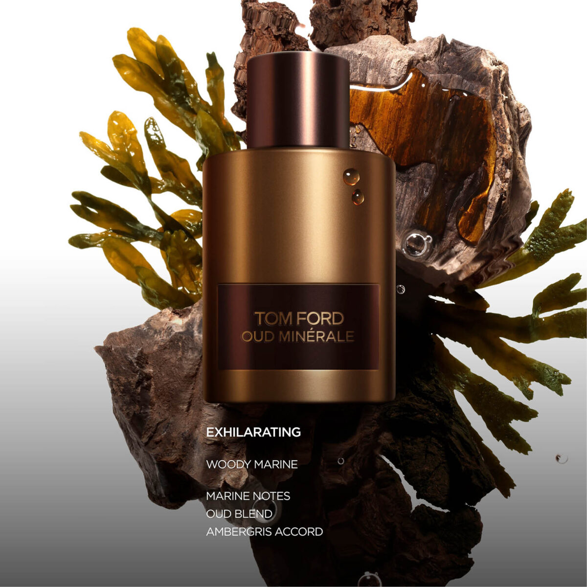 Oud Minérale (2023) Tom Ford - Image 3