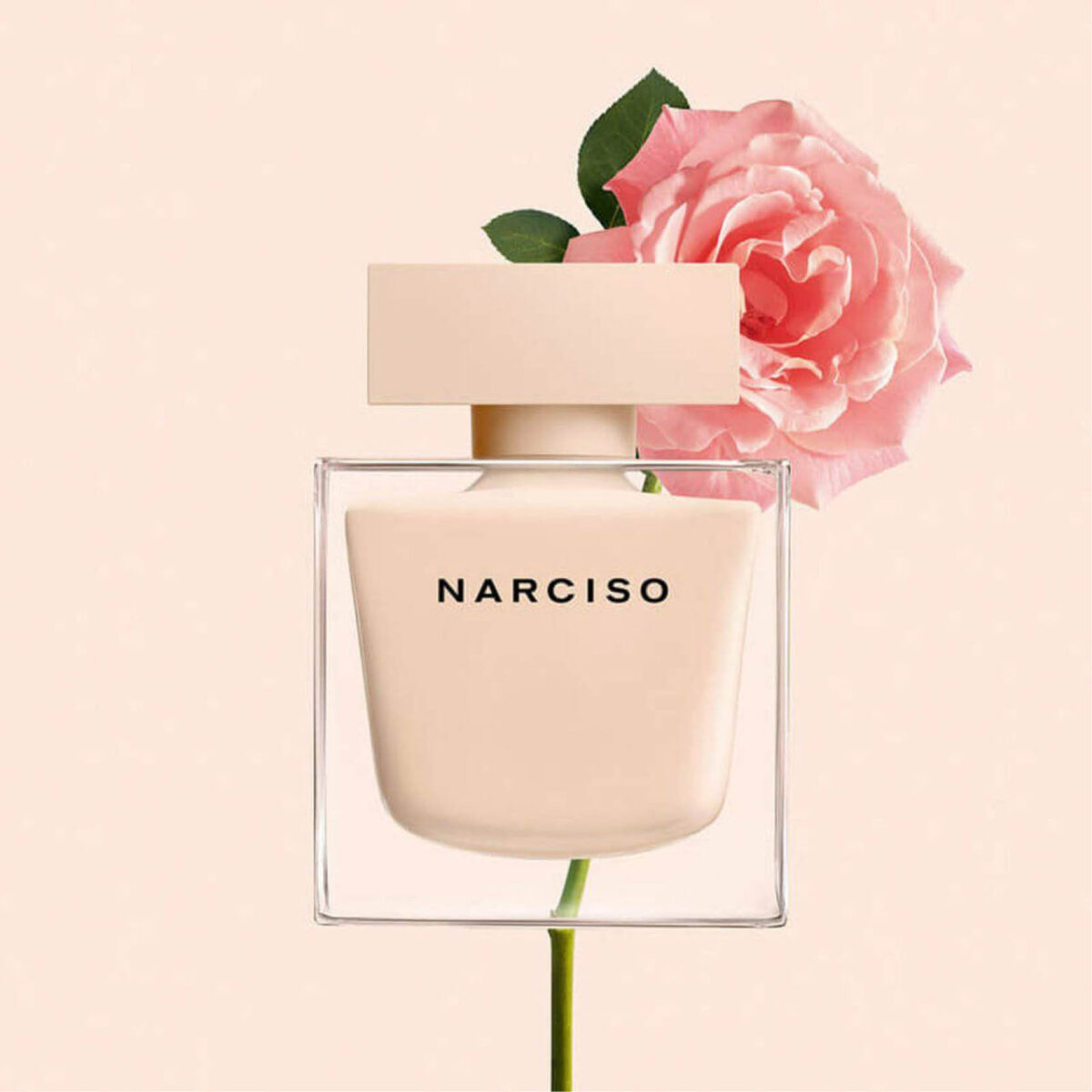 Narciso Poudree Narciso Rodriguez - Image 3