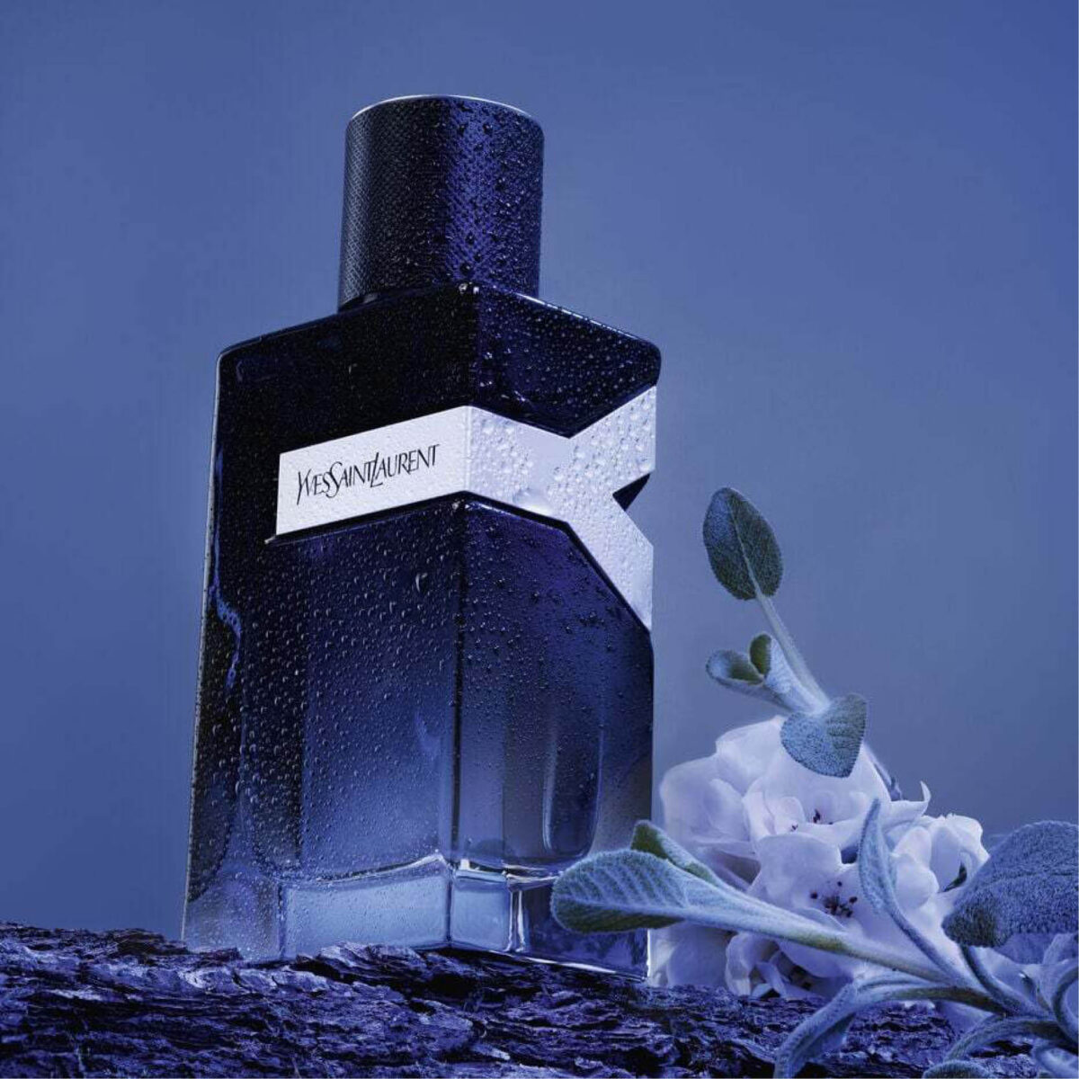 Y Eau de Parfum Yves Saint Laurent - Image 3