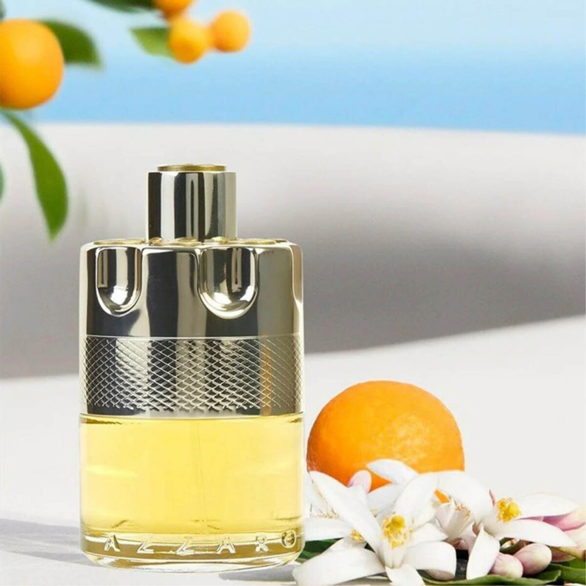 Wanted Azzaro - Image 5