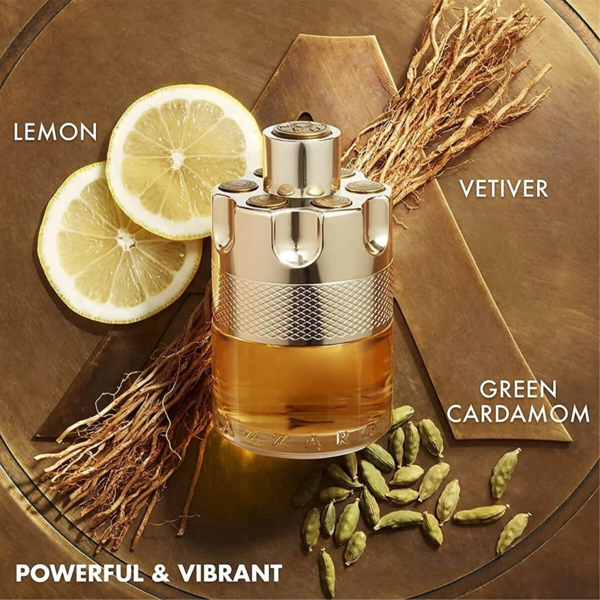Wanted Azzaro - Image 4