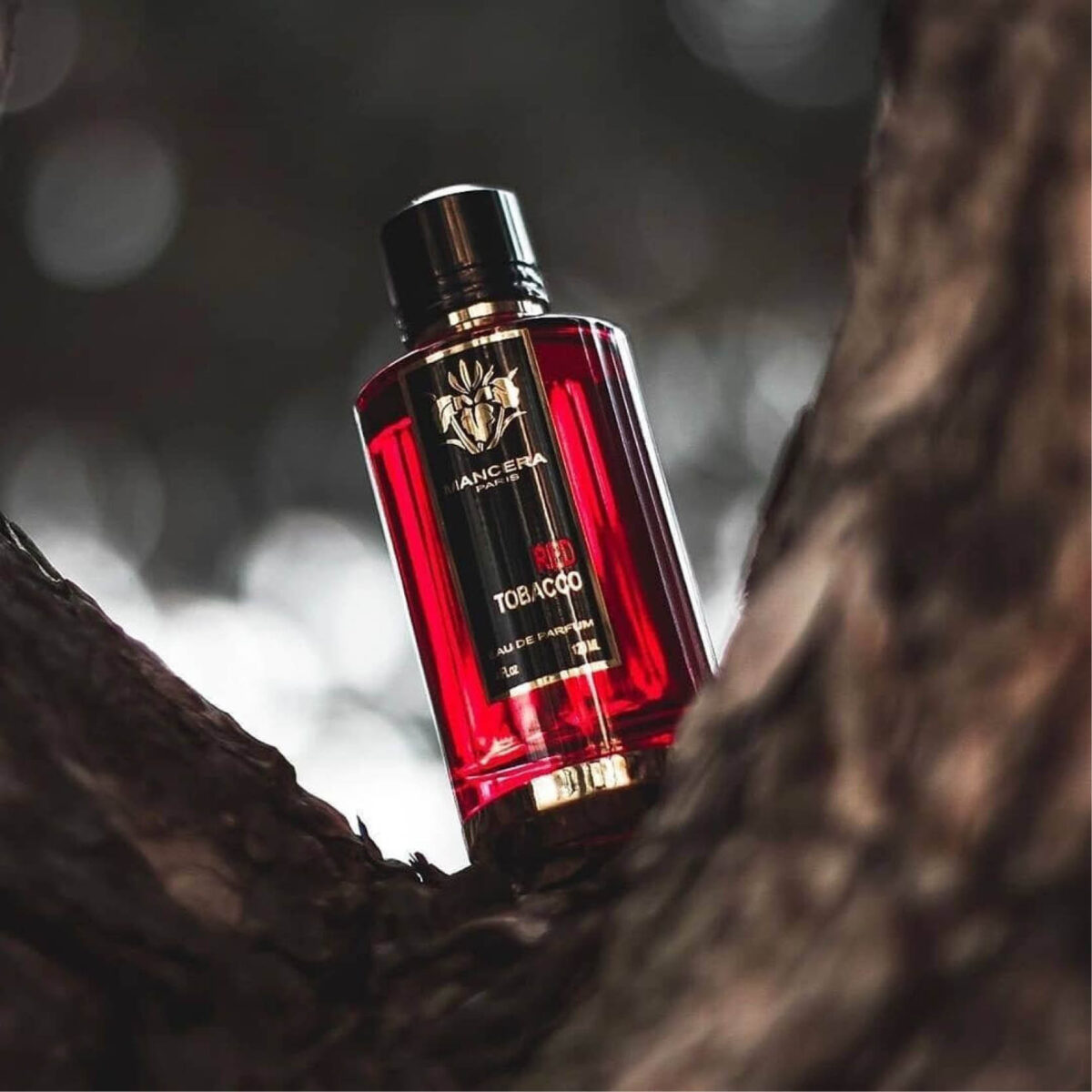 Red Tobacco Mancera - Image 6