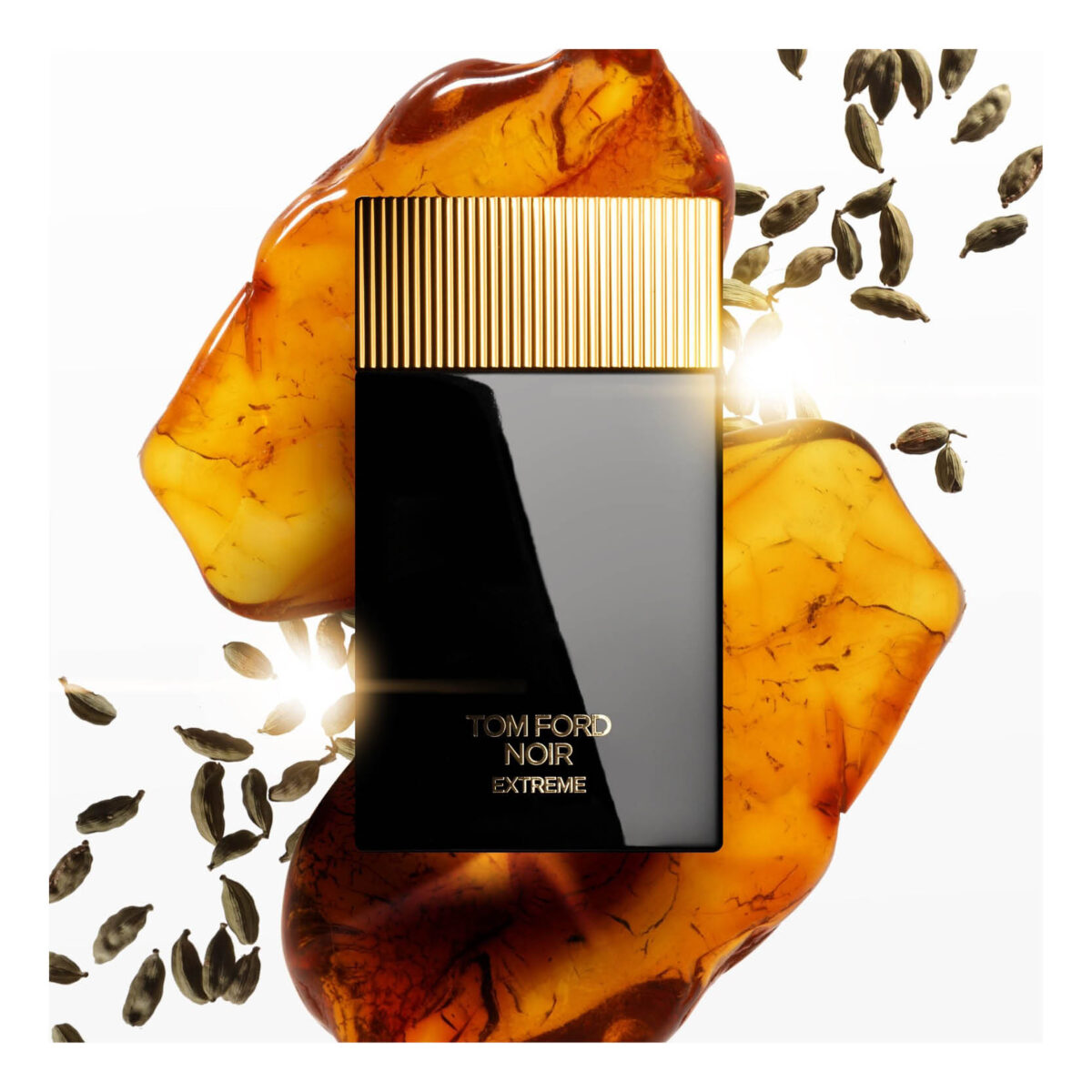 Noir Extreme Tom Ford - Image 3
