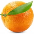 Sweet Orange