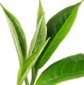 Chinese Black Tea